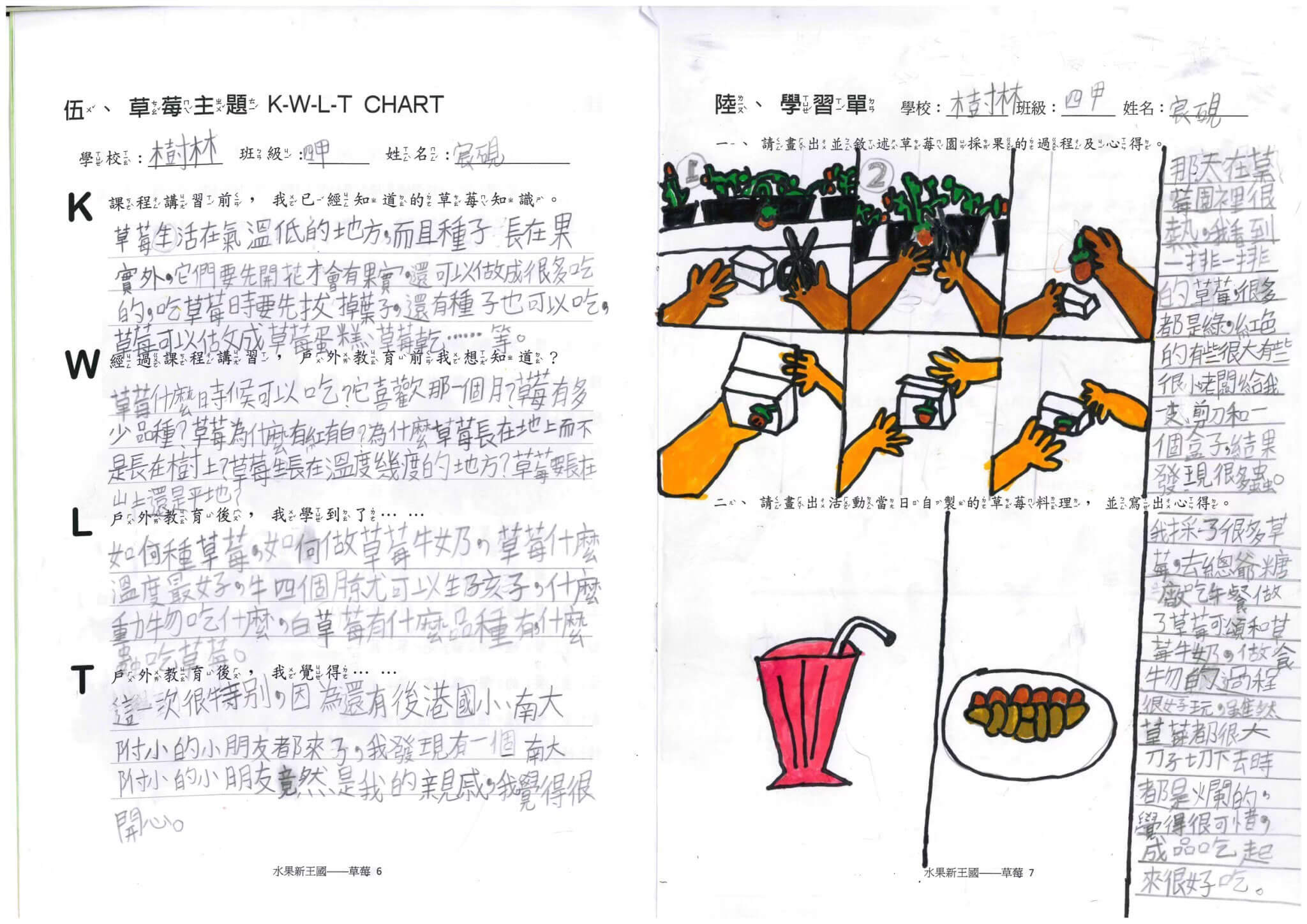 樹林 草莓學習單