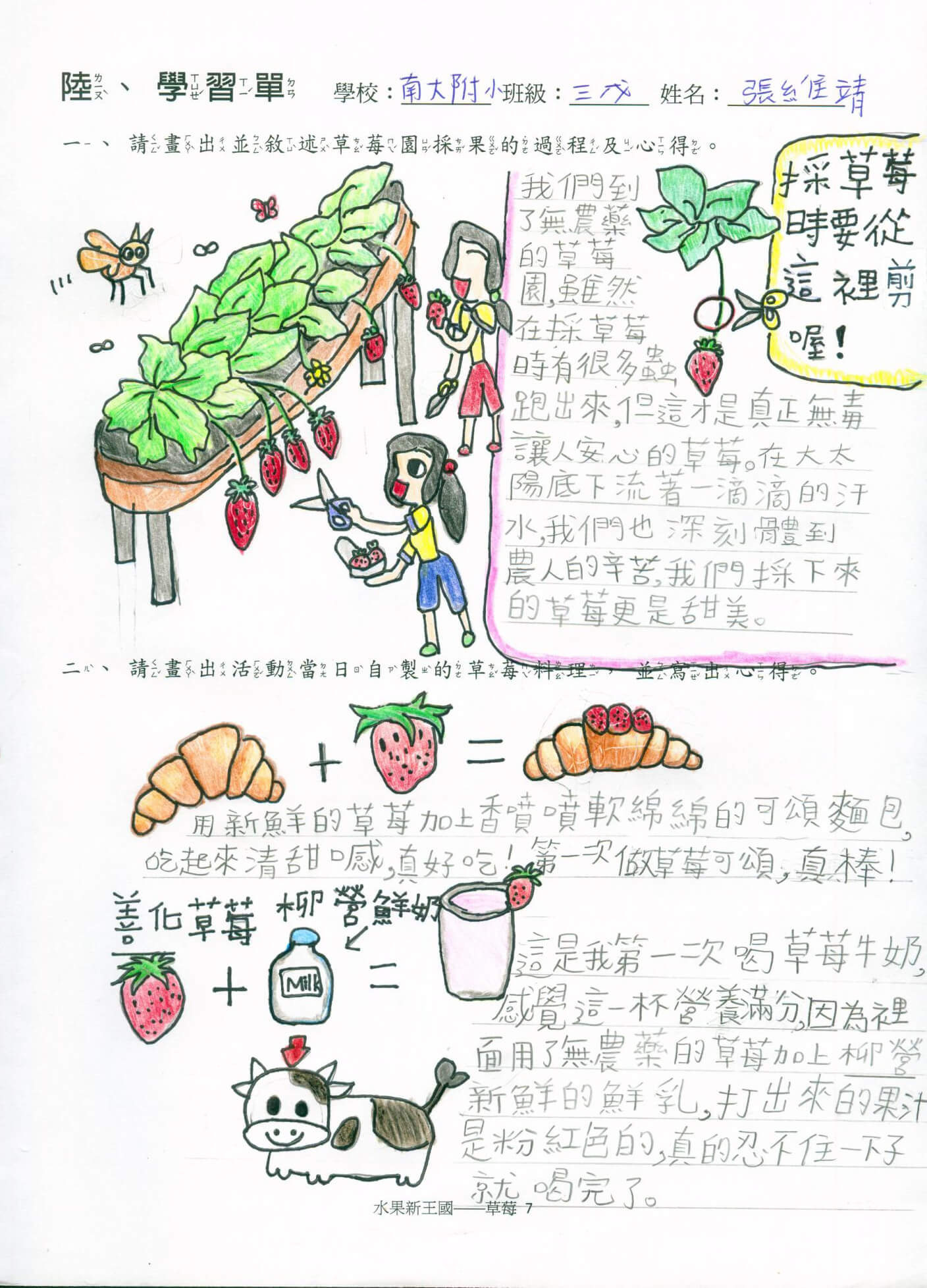 南大附小 草莓學習單