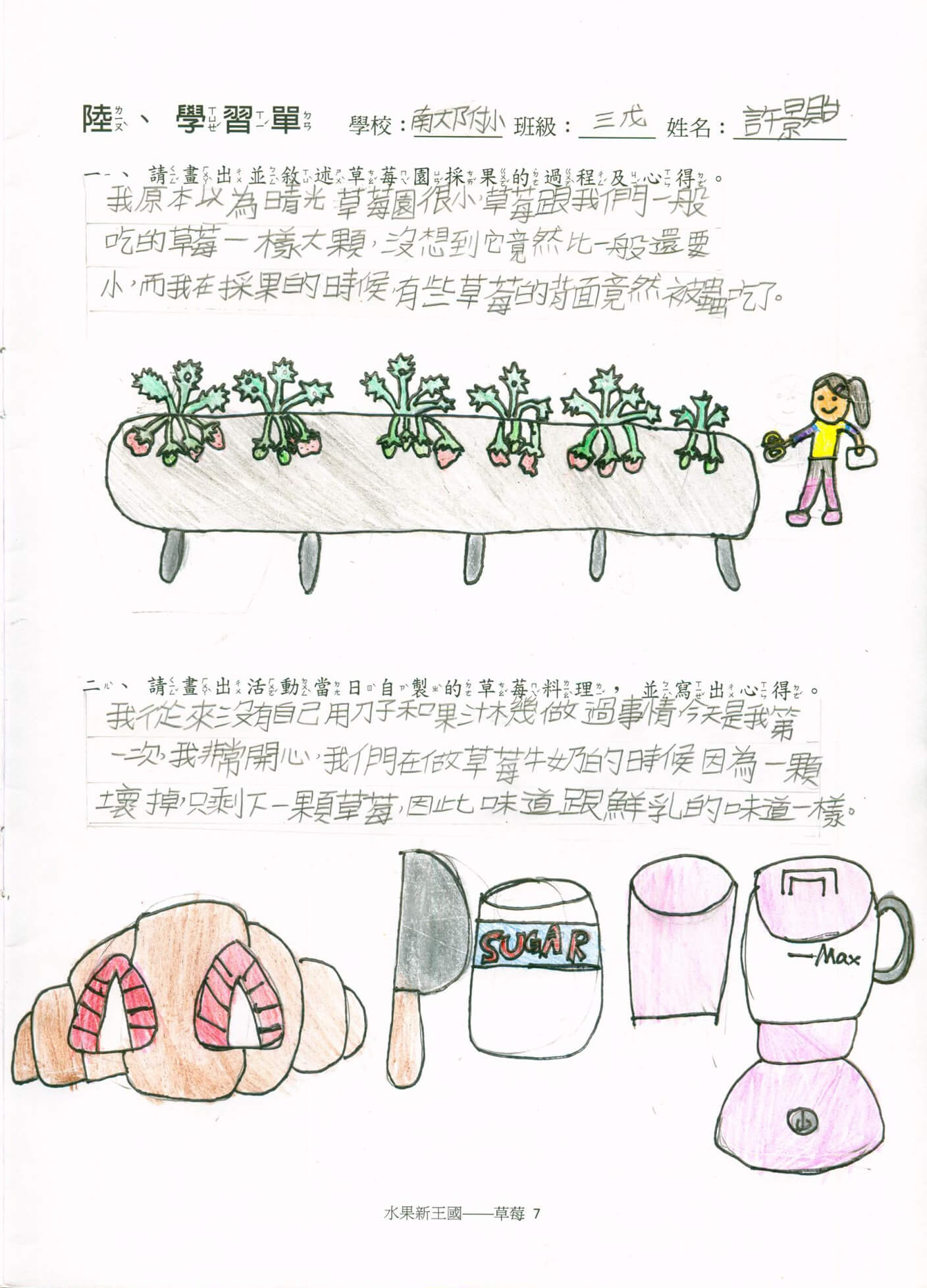 南大附小 草莓學習單2
