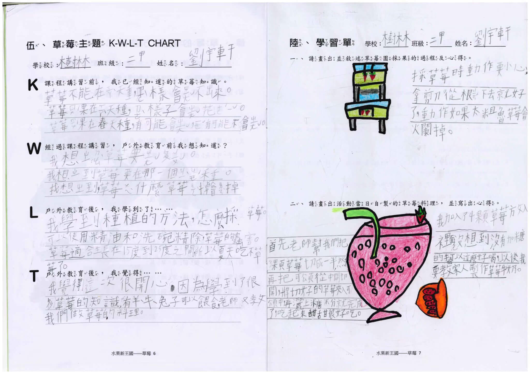 樹林 草莓學習單2
