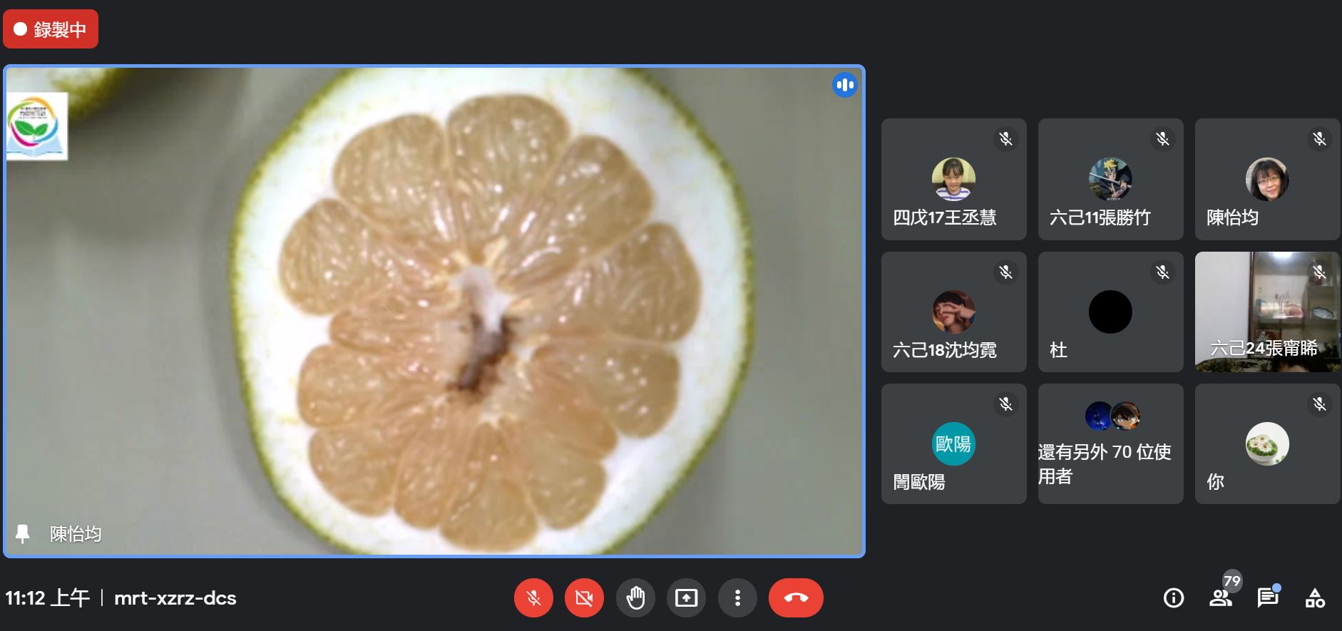 切片面觀察與認識