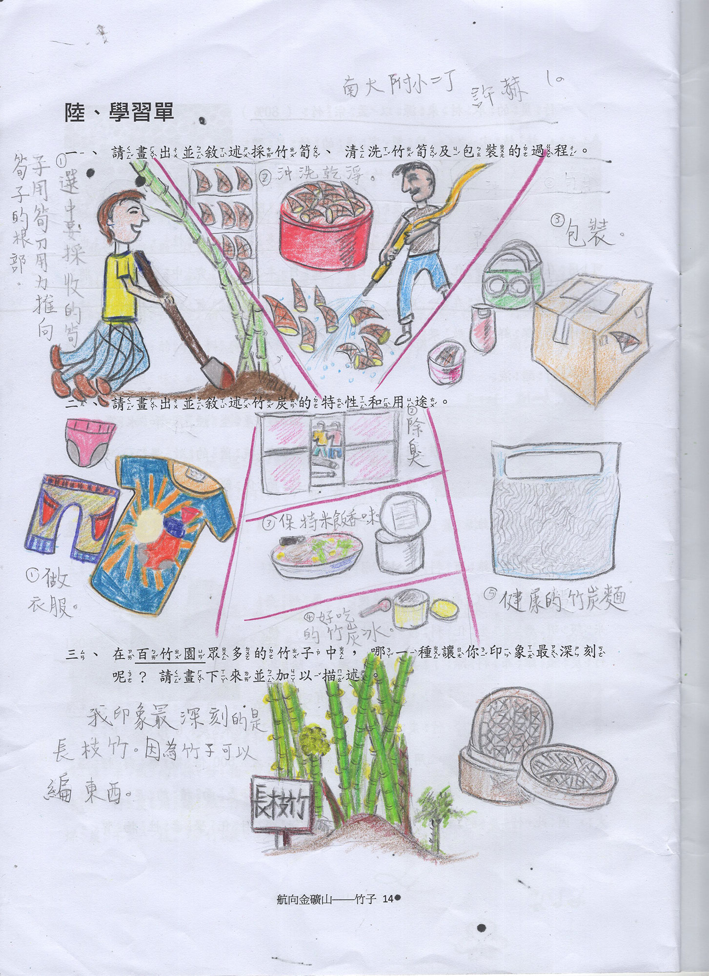 竹子學習單