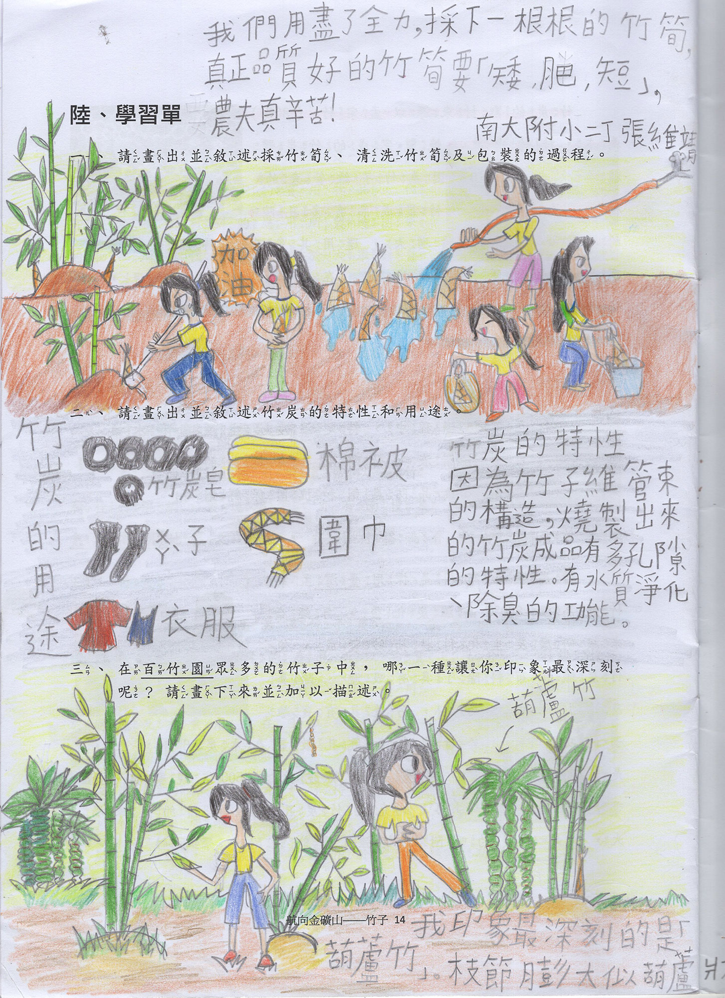 竹子學習單