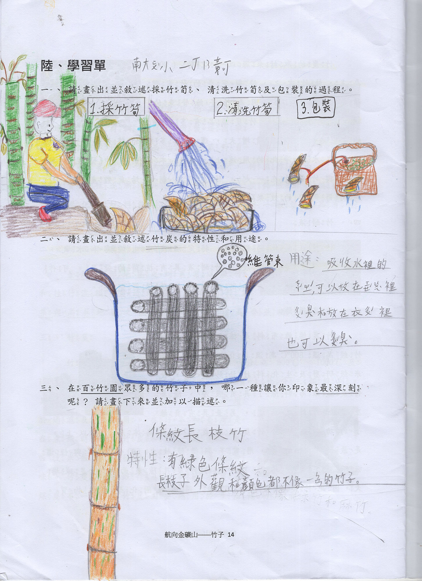 竹子學習單