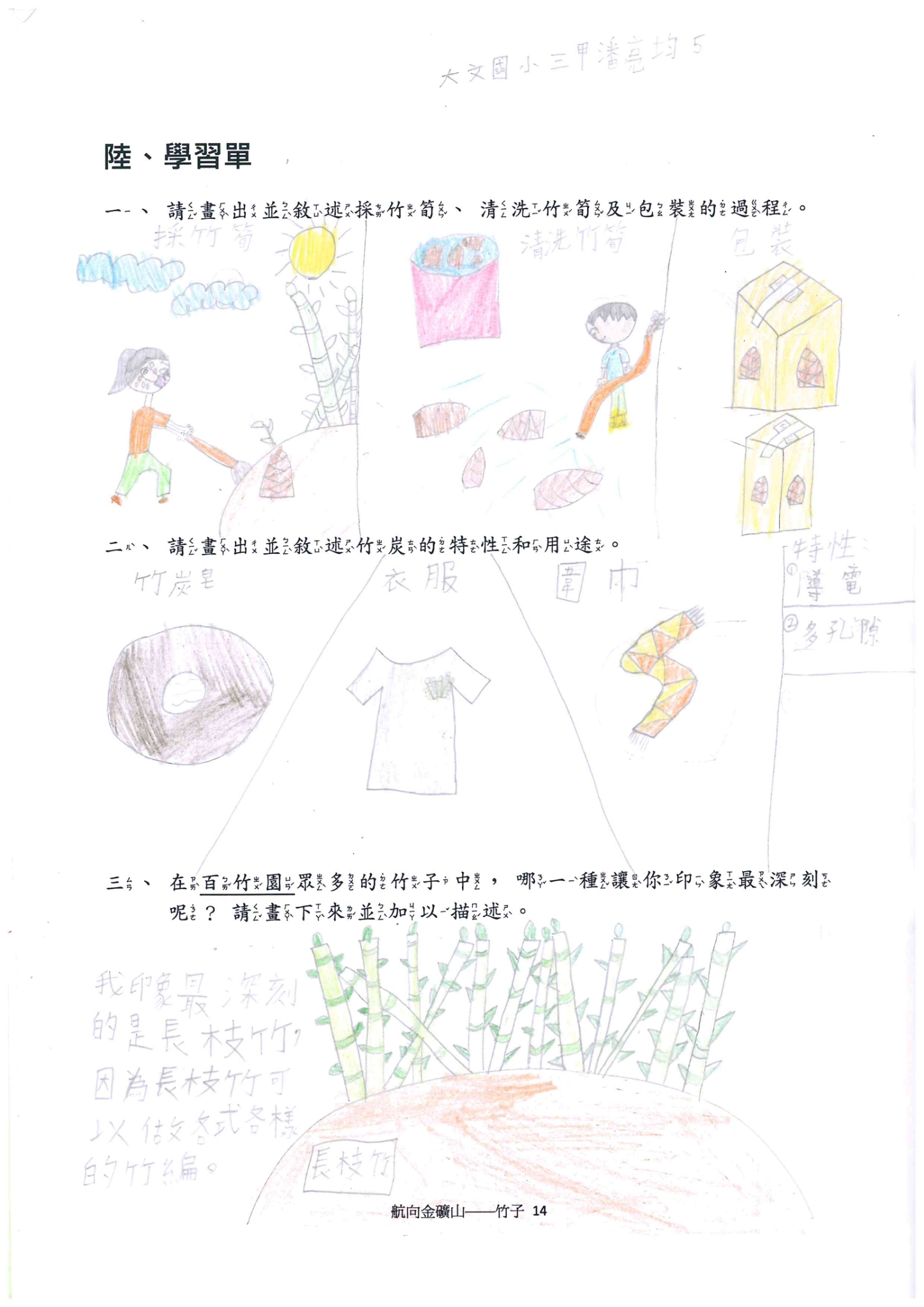 竹子學習單-大文三甲