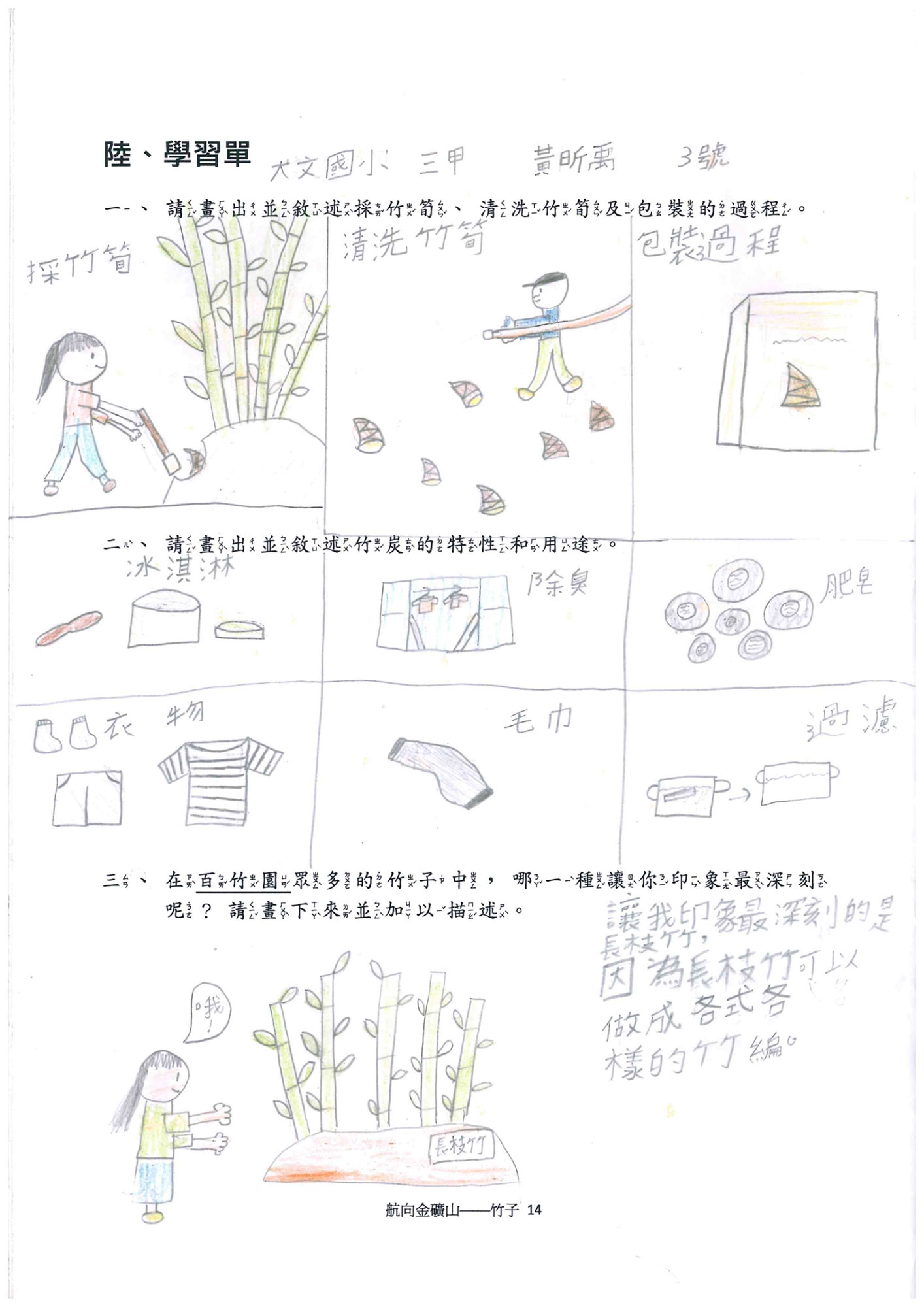竹子學習單-大文三甲