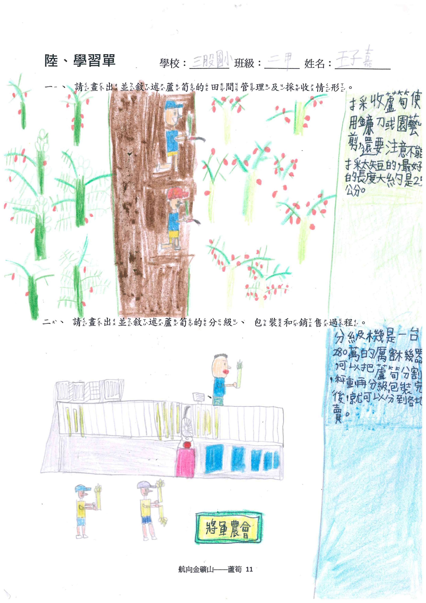三股國小蘆筍學習單