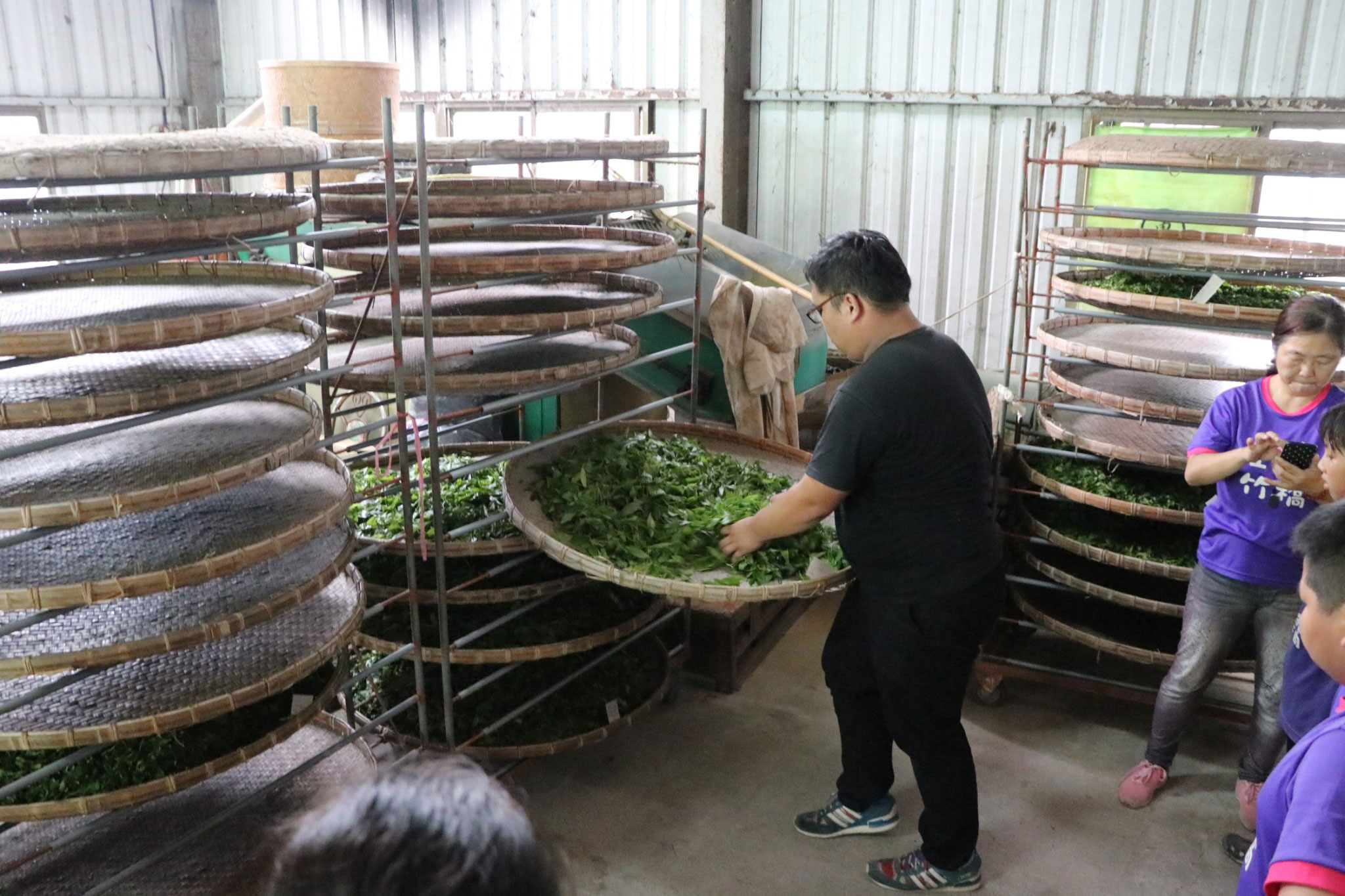 舌尖上的時令 山茶