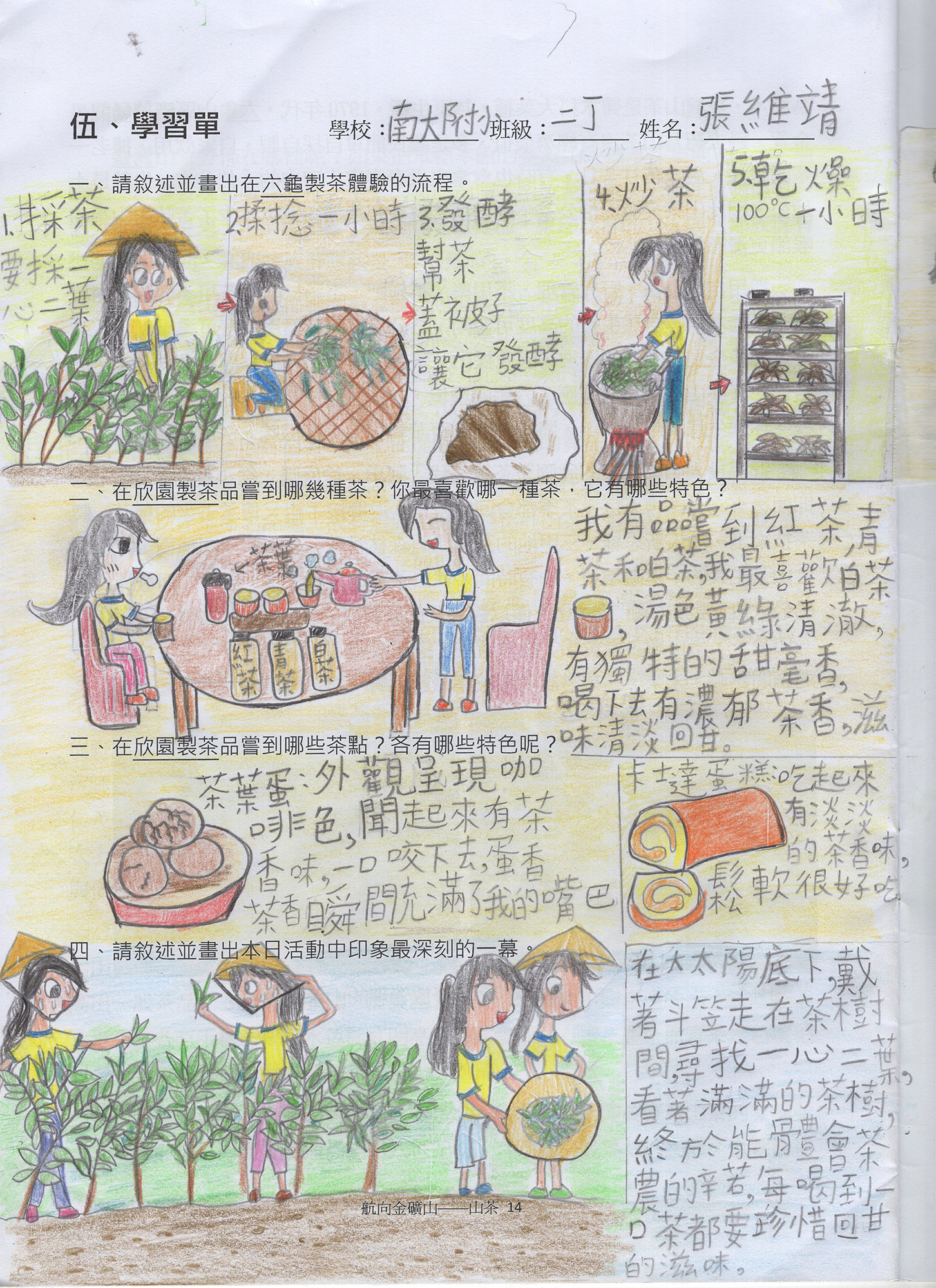 山茶學習單 張維靖