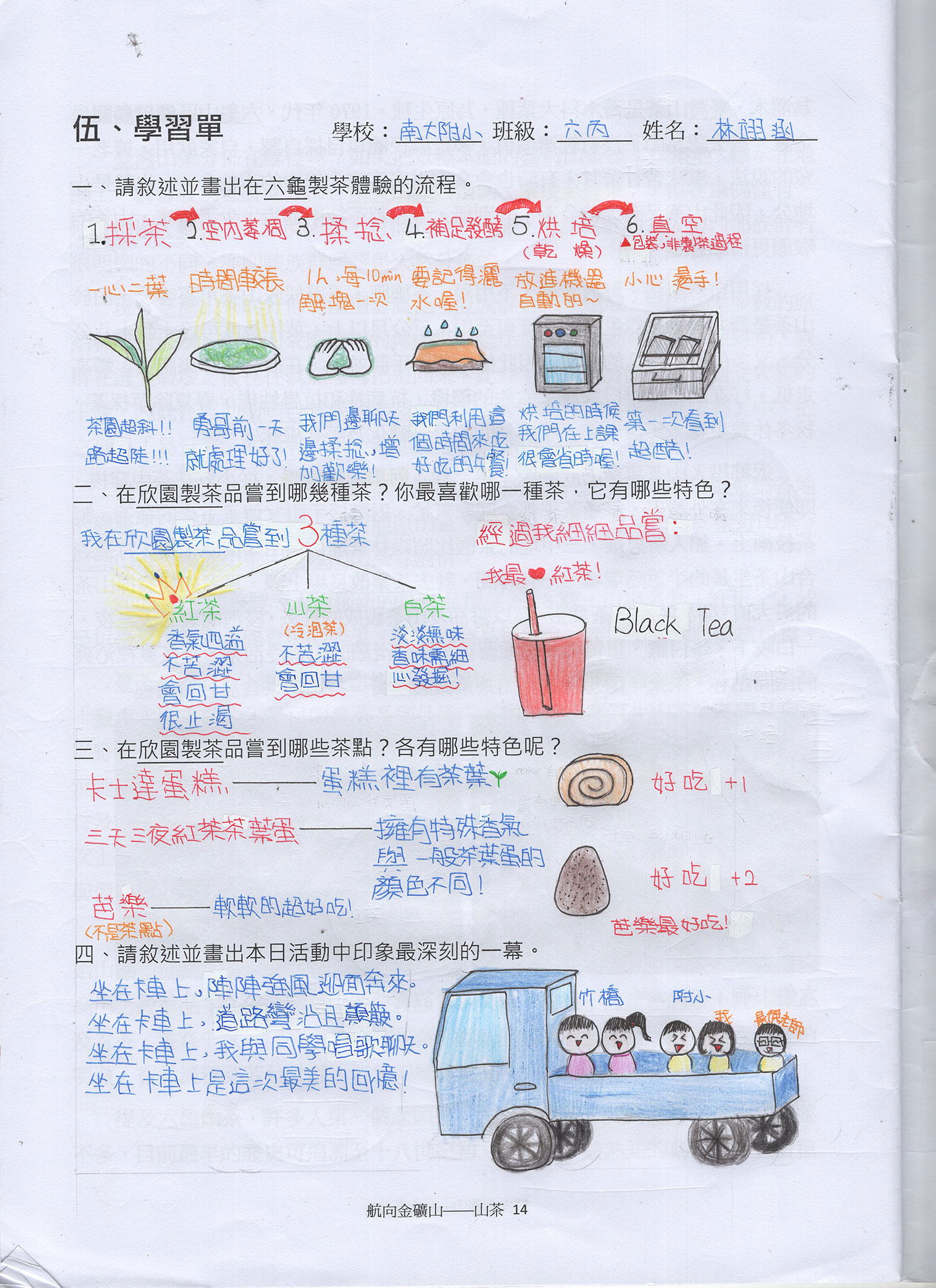 山茶學習單 林翊涵