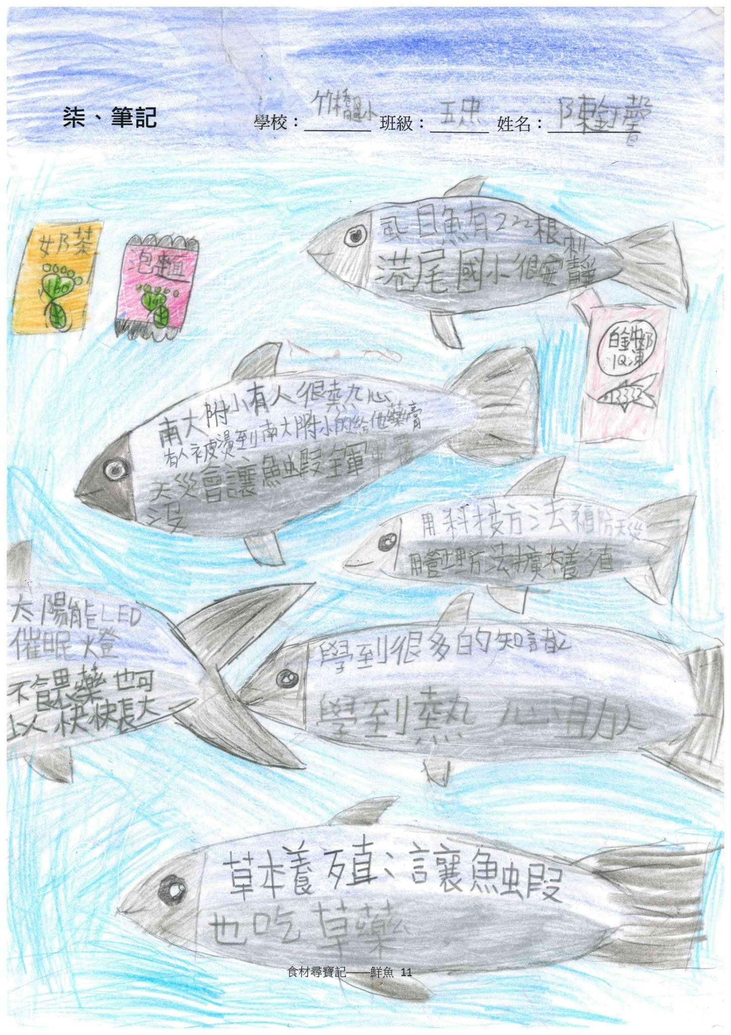鮮魚篇學習成果 竹橋
