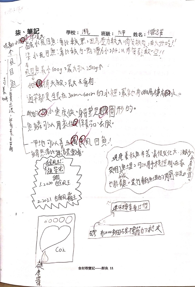 鮮魚篇學習成果 港尾
