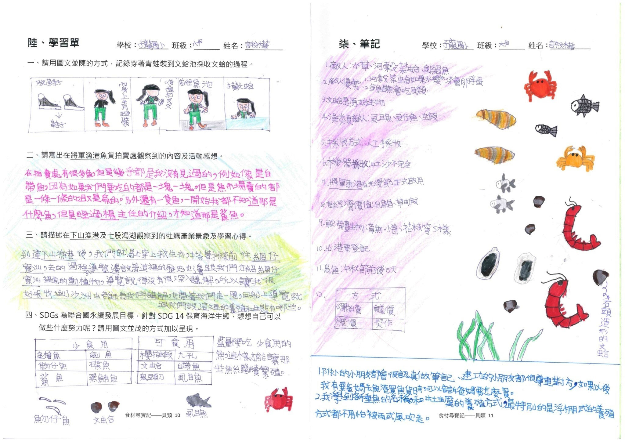 貝類篇學習成果_子龍
