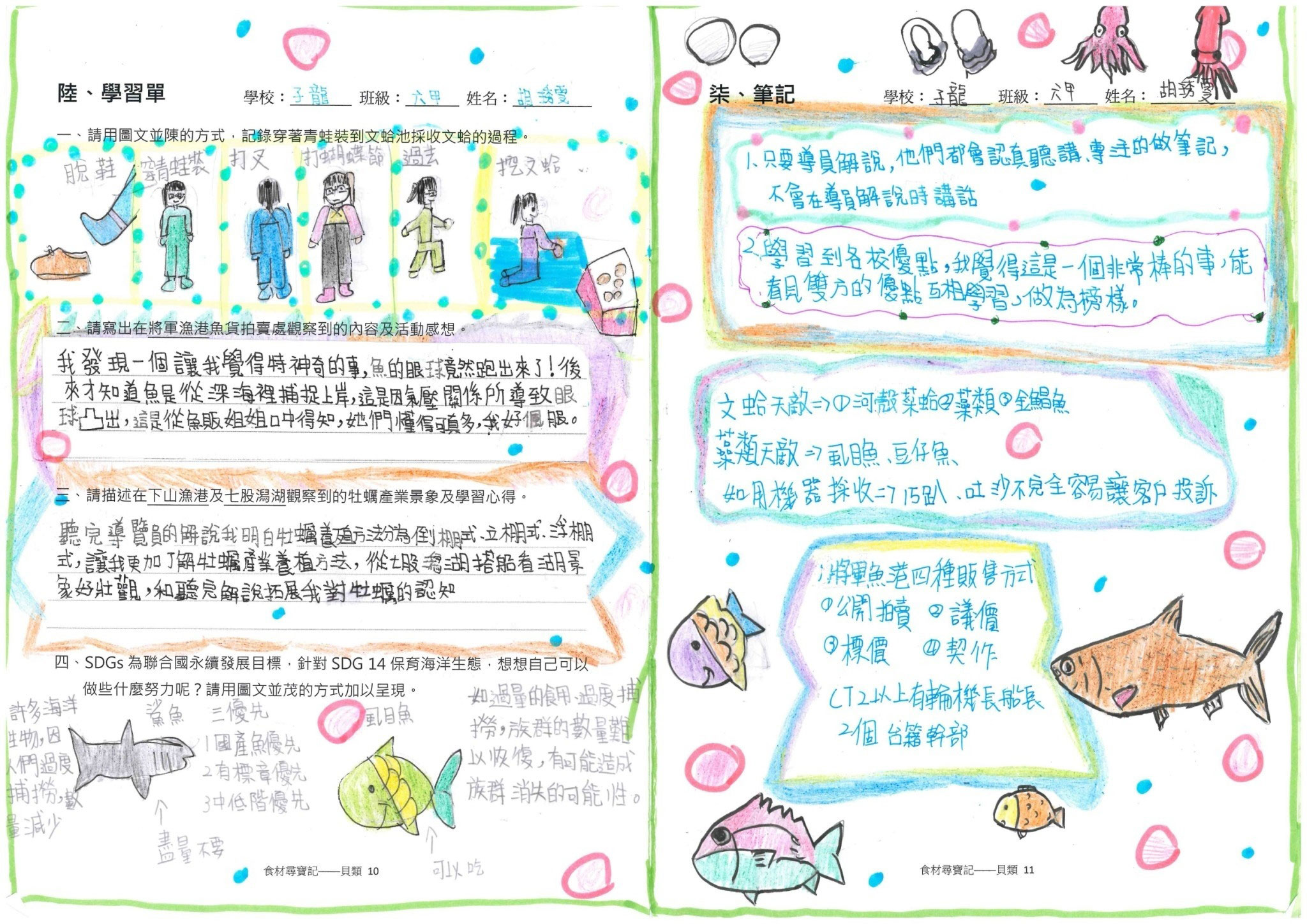 貝類篇學習成果_子龍