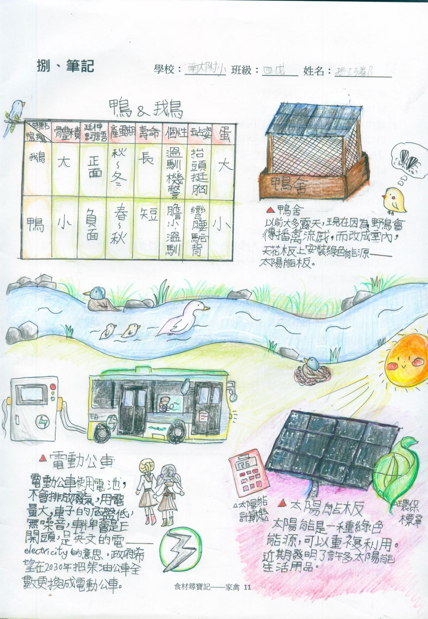 家禽篇學習成果_附小