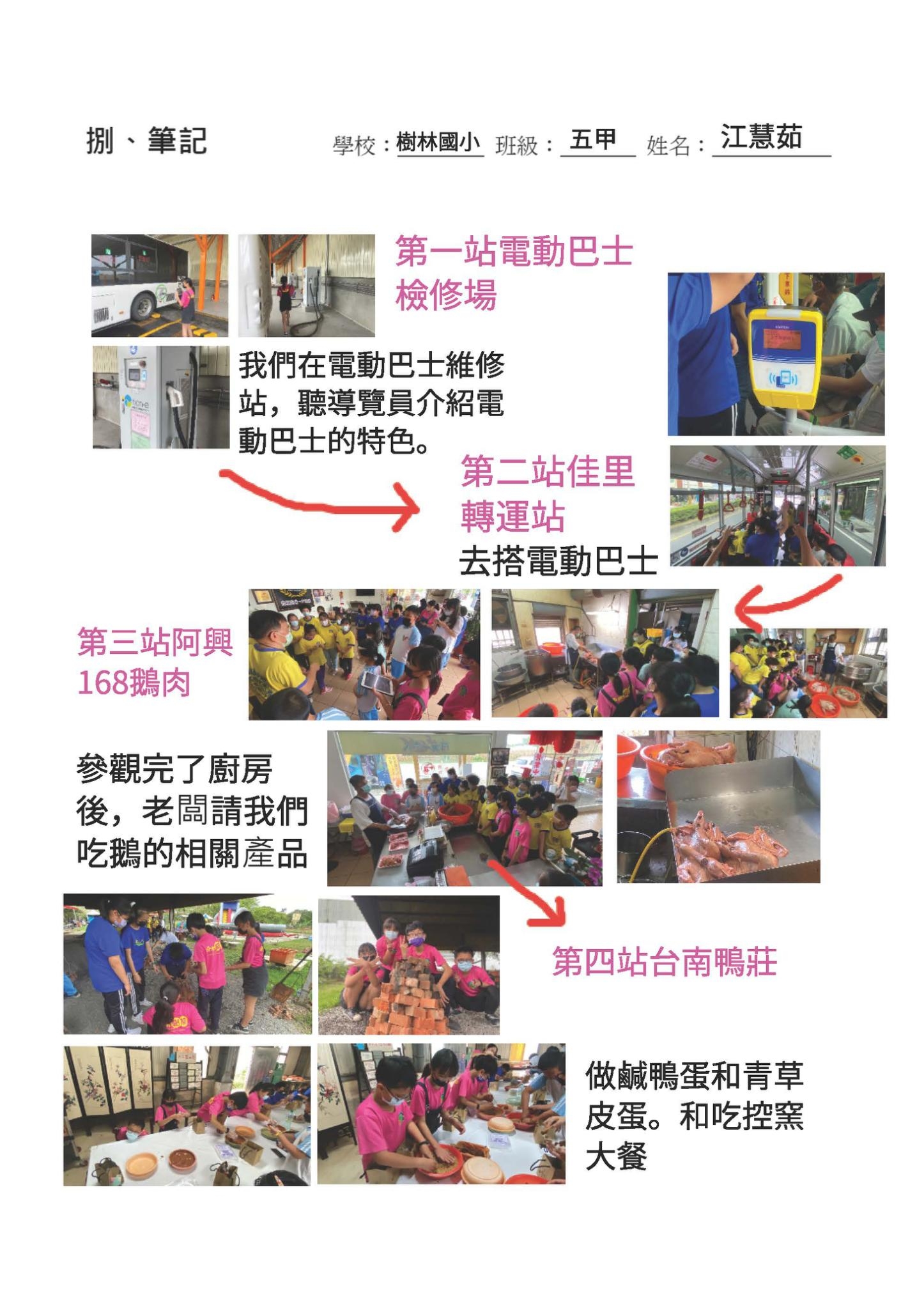 家禽篇學習成果_樹林