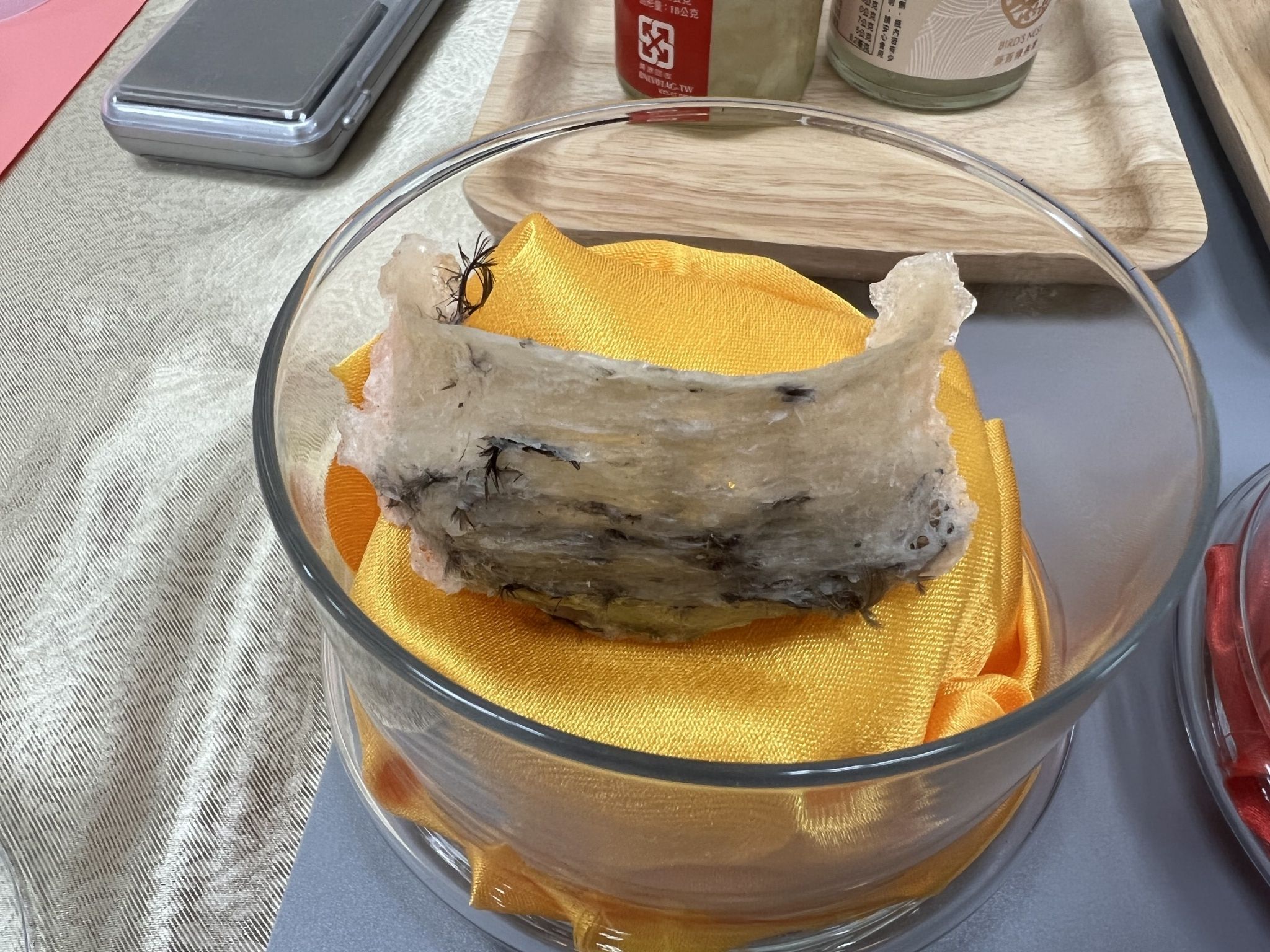 燕窩篇戶外教育