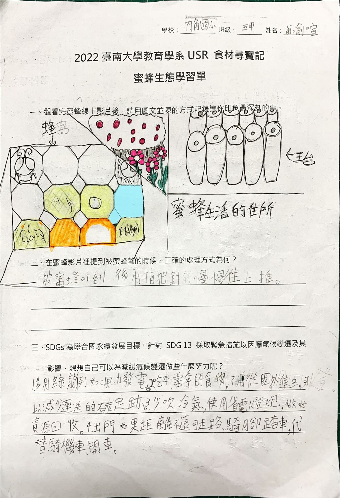 蜜蜂主題學習單