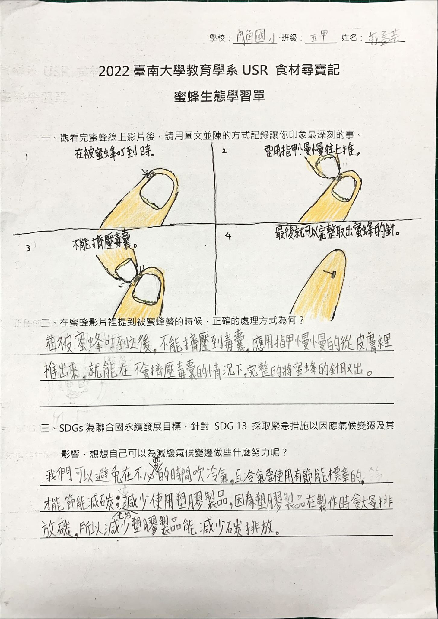 蜜蜂主題學習單
