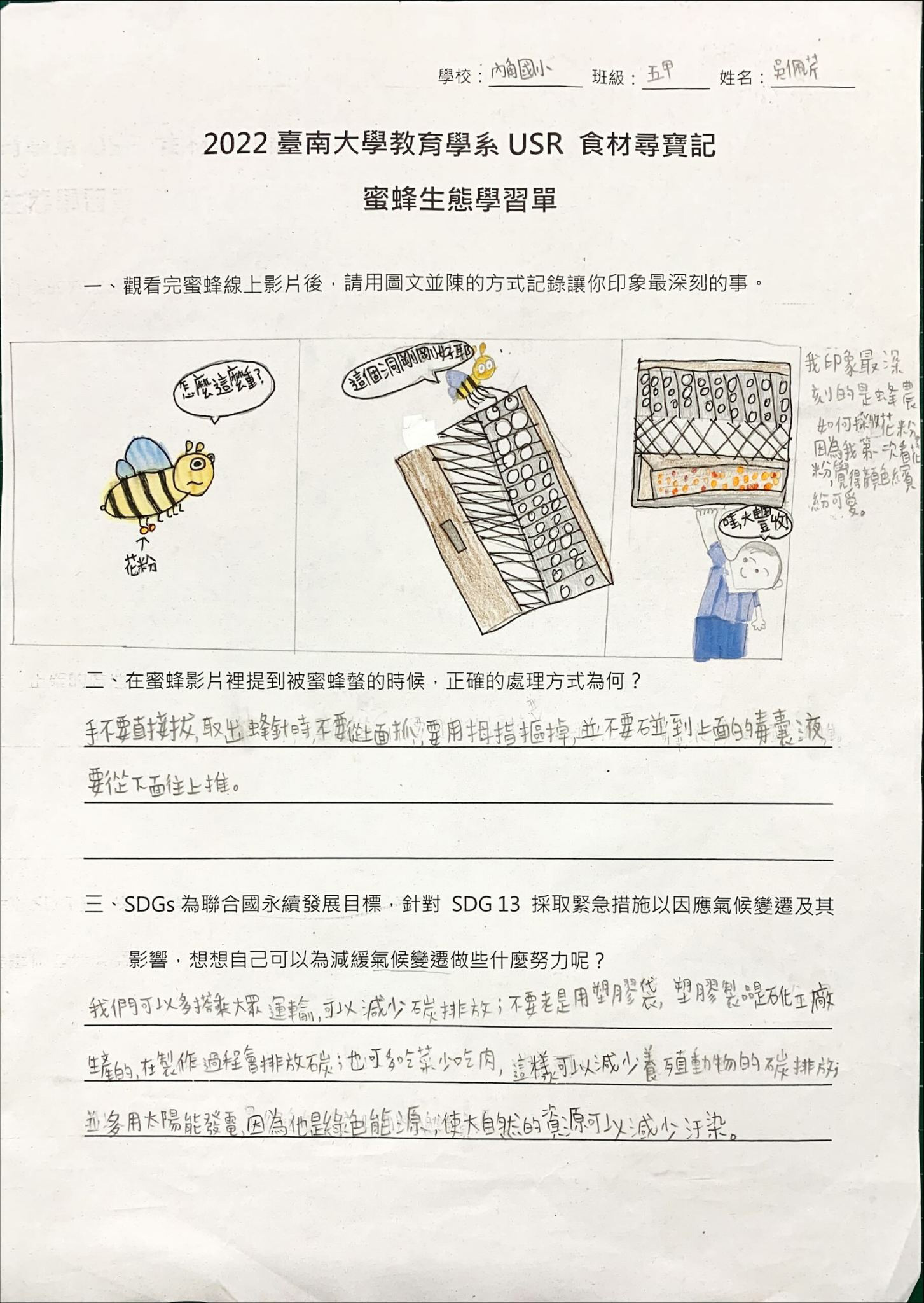 蜜蜂主題學習單