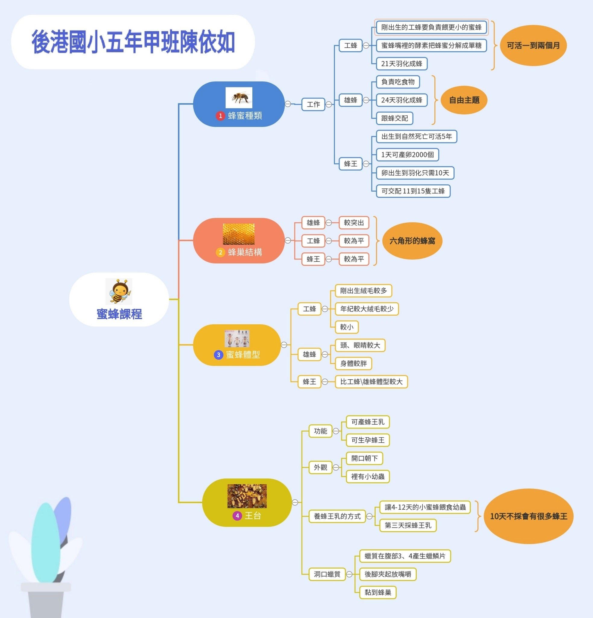 蜜蜂主題學習單