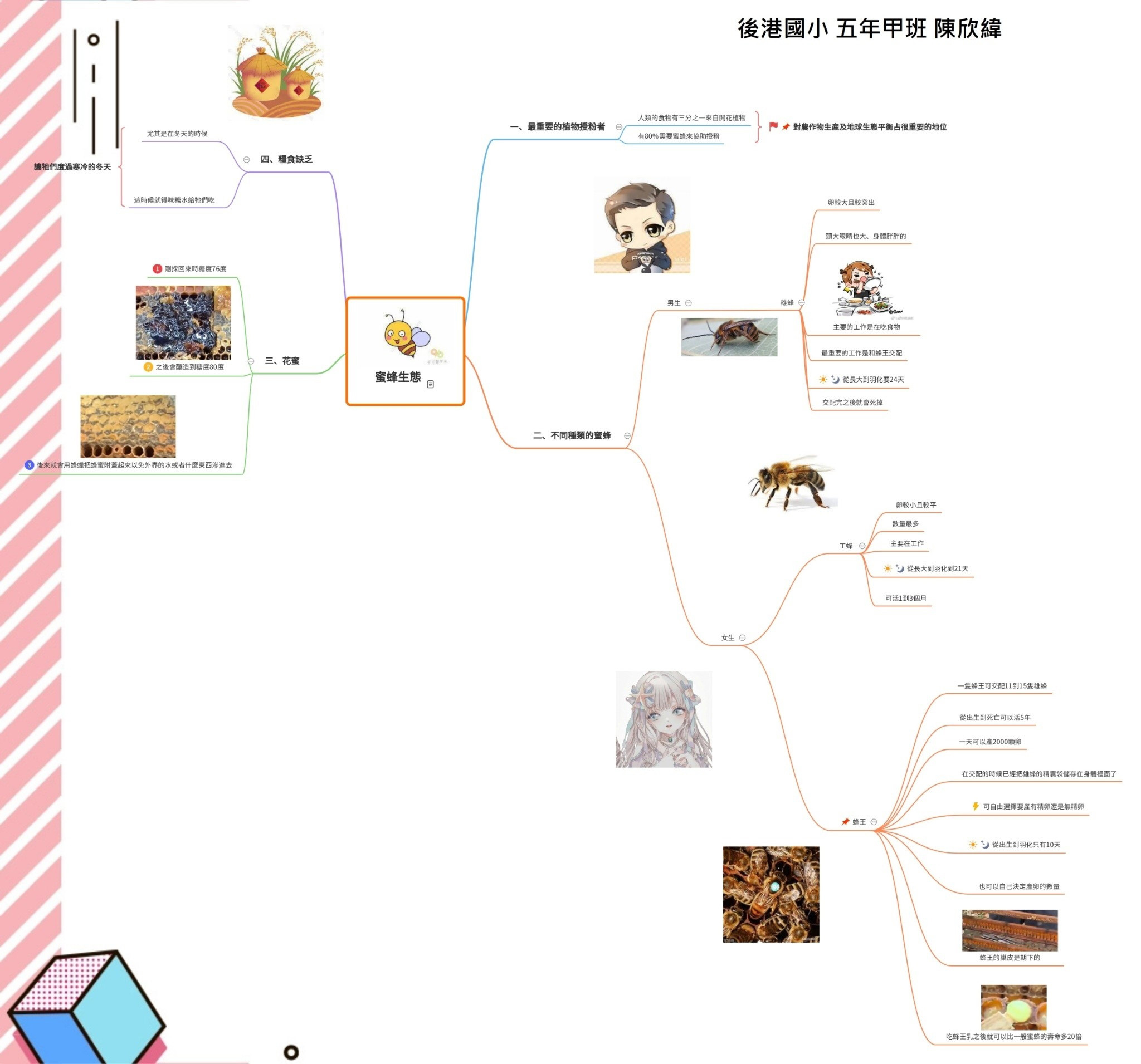 蜜蜂主題學習單