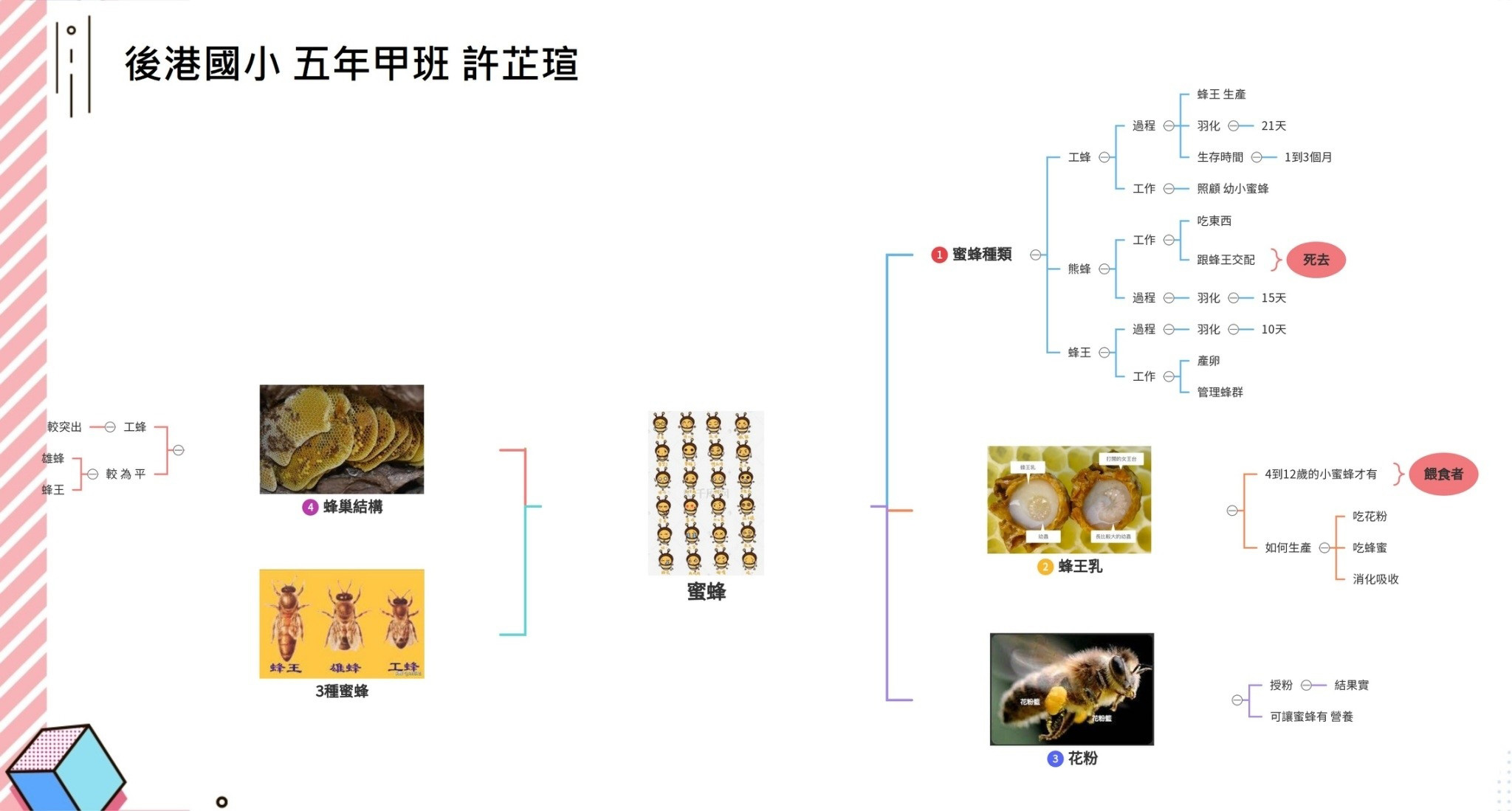 蜜蜂主題學習單