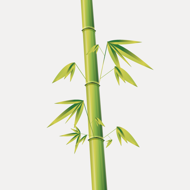 竹子