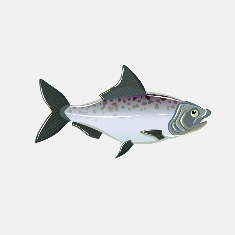 鮮魚
